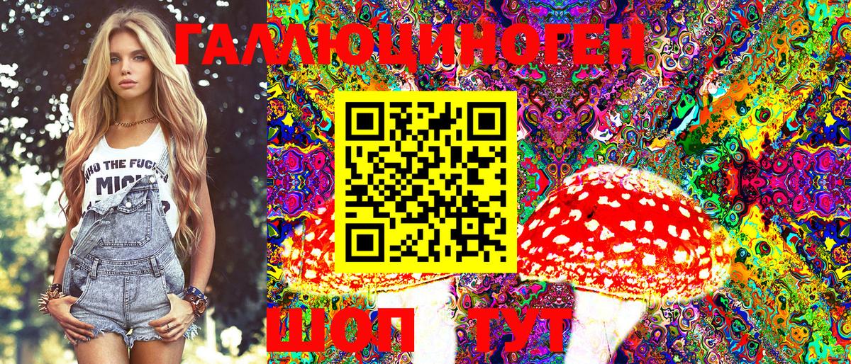 Можайск  Псилоцибиновые грибы Psilocybe  Галлюциногенные грибы MAGIC MUSHROOMS  Вход с VPN 