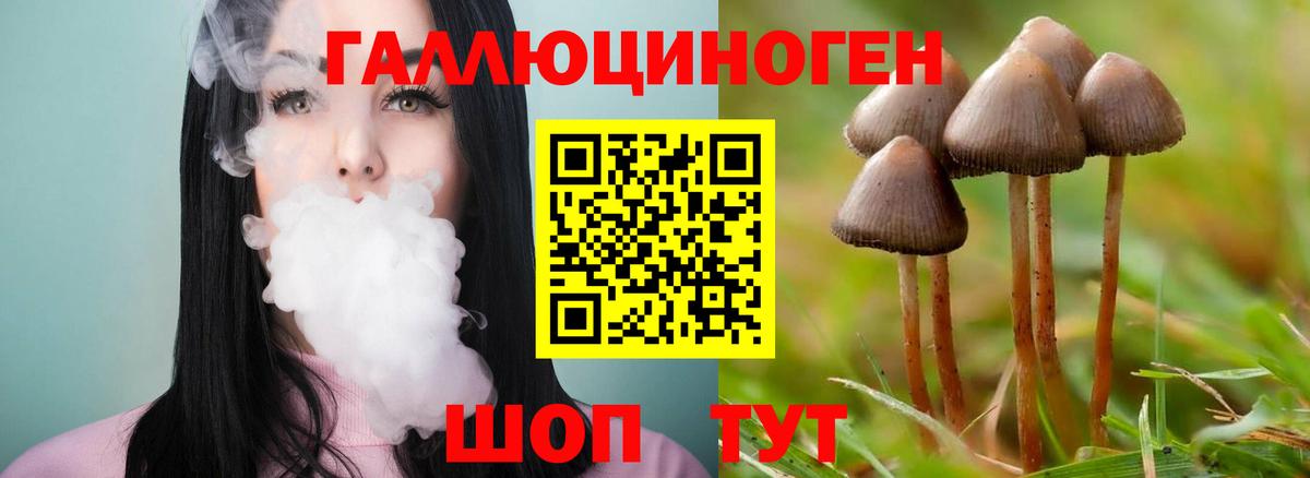 Псилоцибиновые грибы Cubensis Можайск